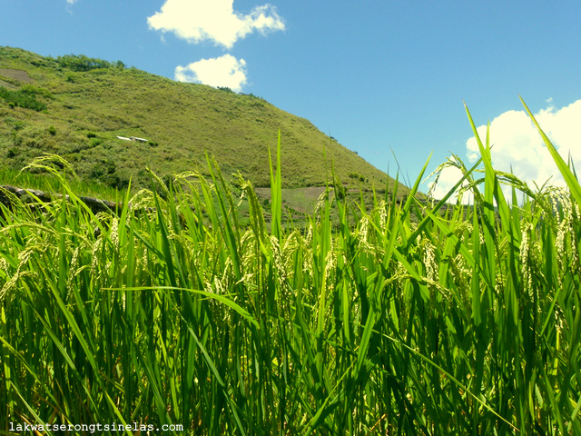 day hike to tinglayan villages of kalinga