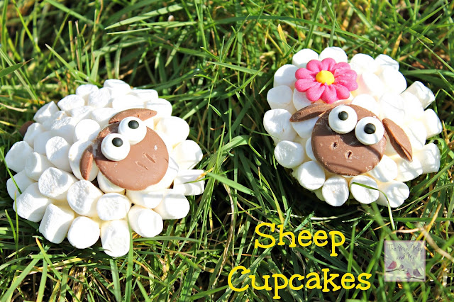 Sheep Cupcakes