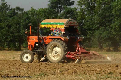 Tractor Plowing Field