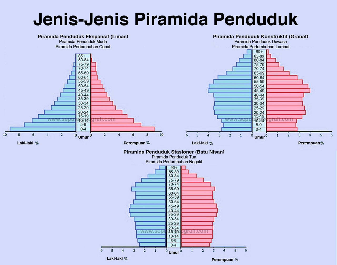 Cara Membuat Dan Jenis Jenis Piramida Penduduk Ilmu Pengetahuan Sosial ...