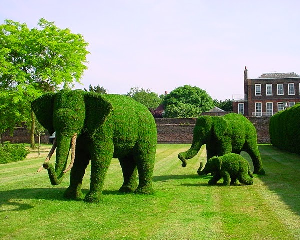 Beautiful animal topiary