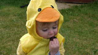 easter egg hunt, Easter, chick, fancy dress