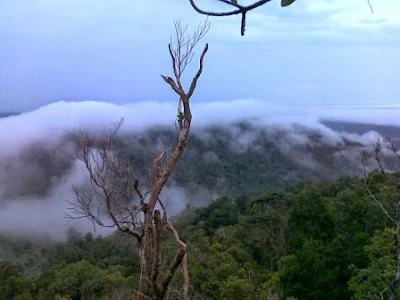 28 TEMPAT WISATA DI KABUPATEN KUBU RAYA KALIMANTAN BARAT TERLENGKAP INSTAGRAMBLE COCOK DIKUNJUNGI BERSAMA