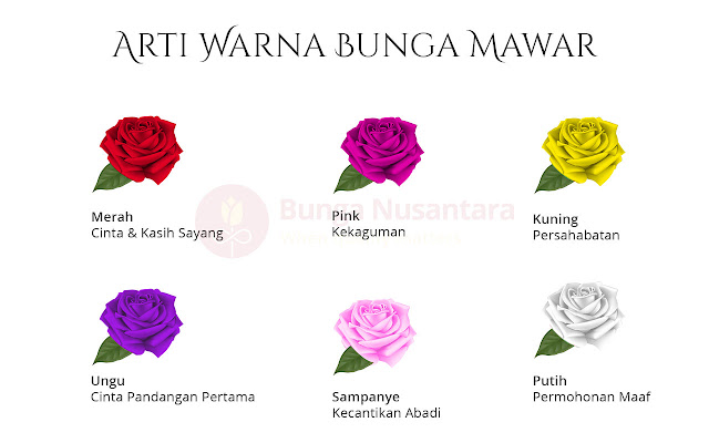 Arti Warna Bunga Mawar - Bunga Nusantara