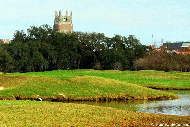 Audubon Park Golf Course Water, Green, and Church New Orleans