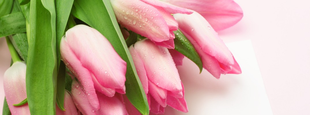 A stock photo of a bouquet of flowers.