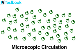 Green's Theorem