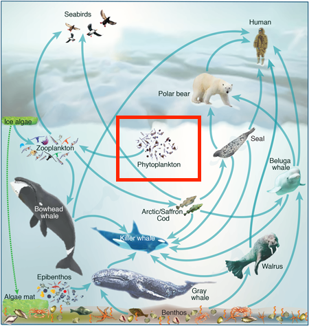 Less ice, more food? - GeoSpace - AGU Blogosphere