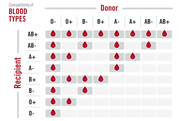 World Blood Donor Day – 8 Facts About Blood Donation