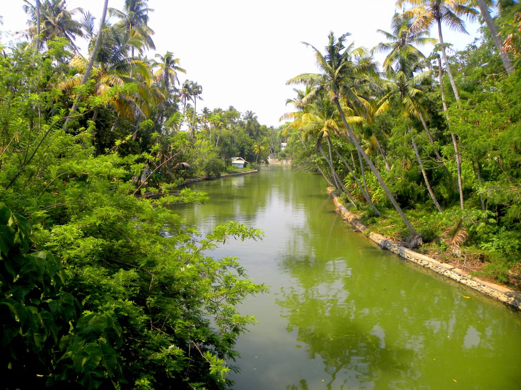 Kayaking - Kollam