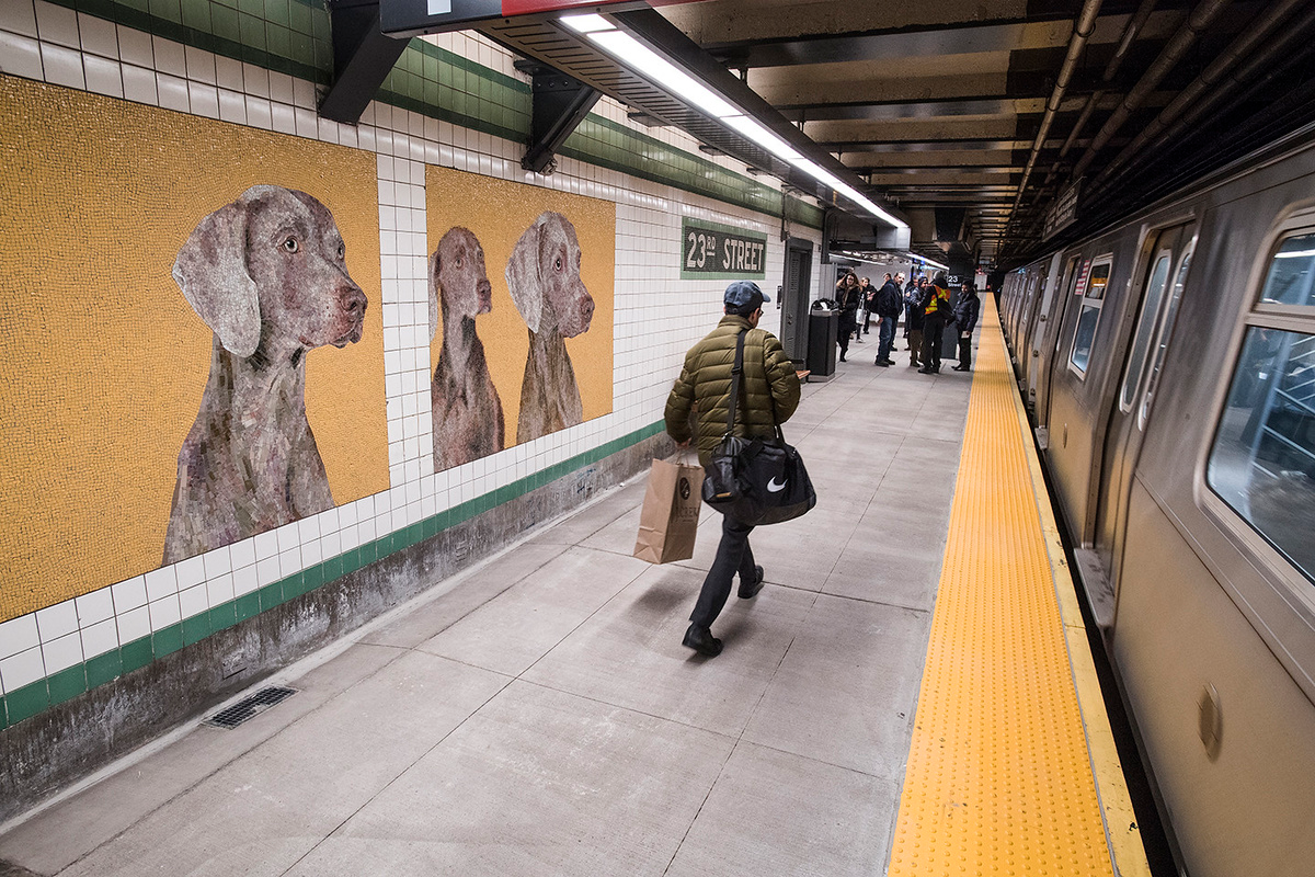 William Wegman mural