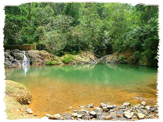 patillas charco azul