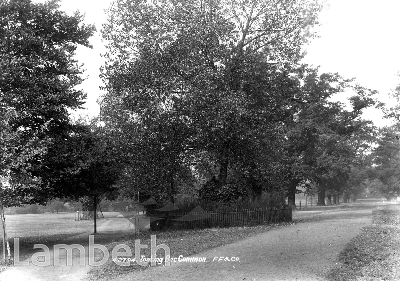 TOOTING BEC COMMON - LandmarkLandmark