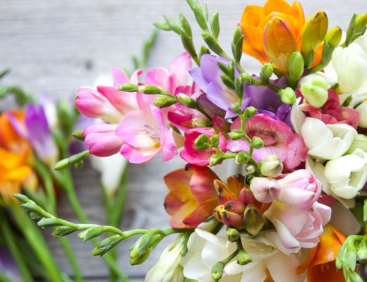 Freesia Bouquet Care