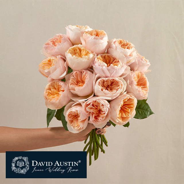 Bouquet with 15 stems of peachy pink garden roses.