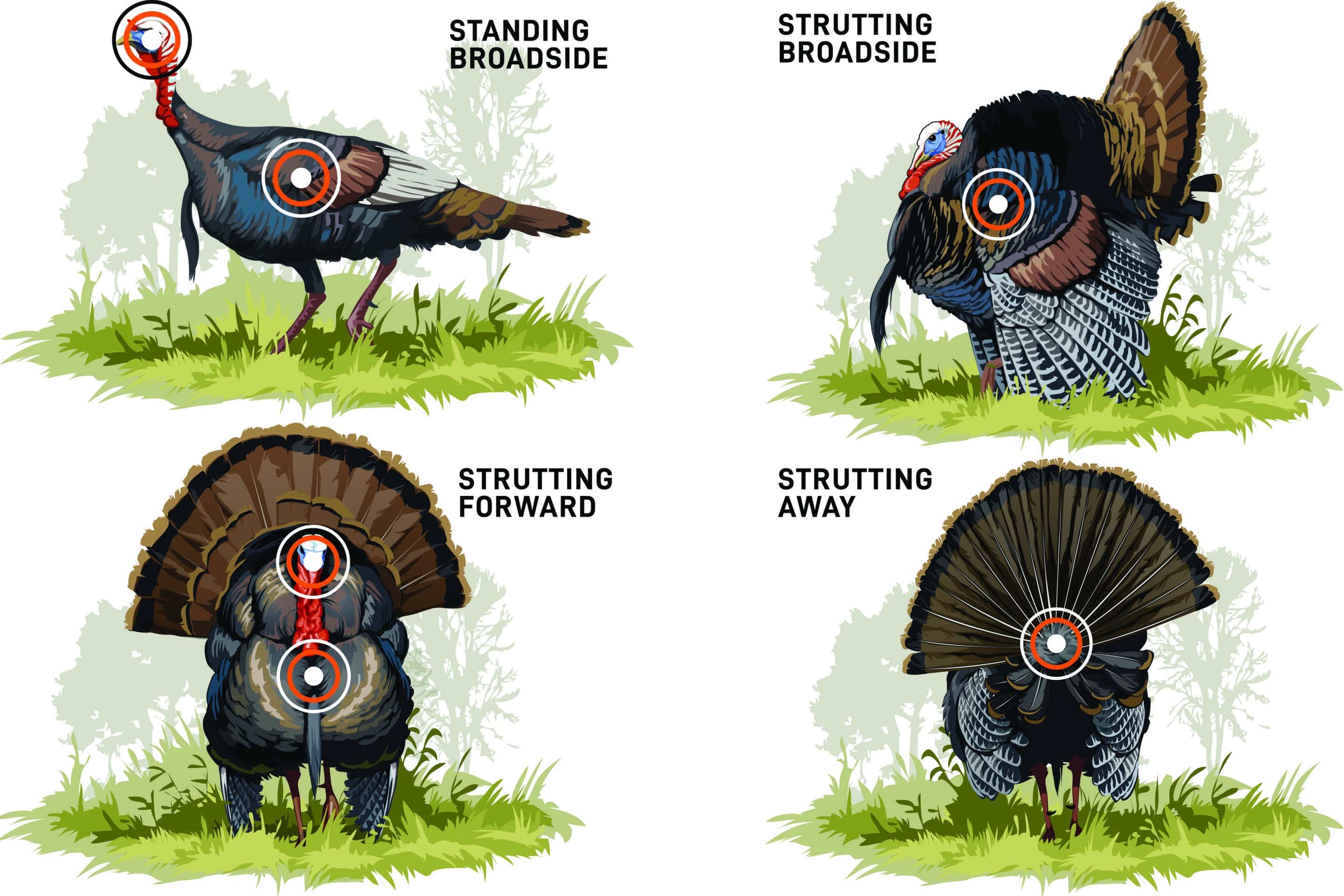 What Do I Need for Turkey Hunting: The Essential Gear Guide ...