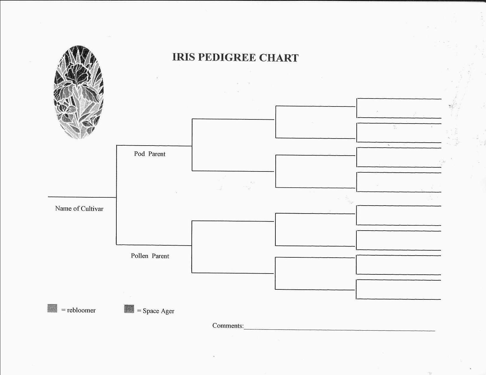 Great Dog Pedigree Chart Template Images Gallery. Printable Pedigree - Free Printable Dog Pedigree Generator