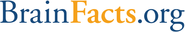 BrainFacts.org