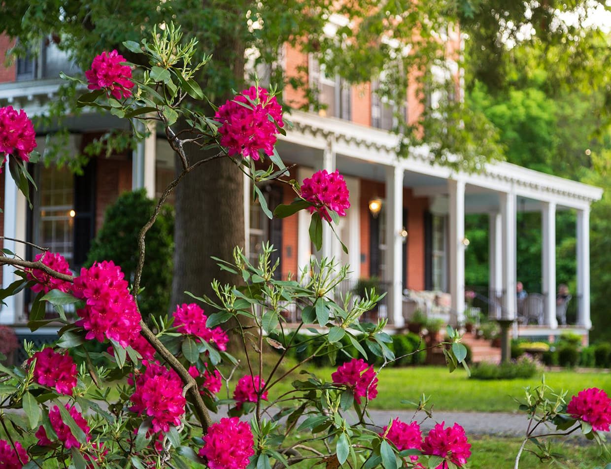 pink flowers in front of our Eastern Shore Inn