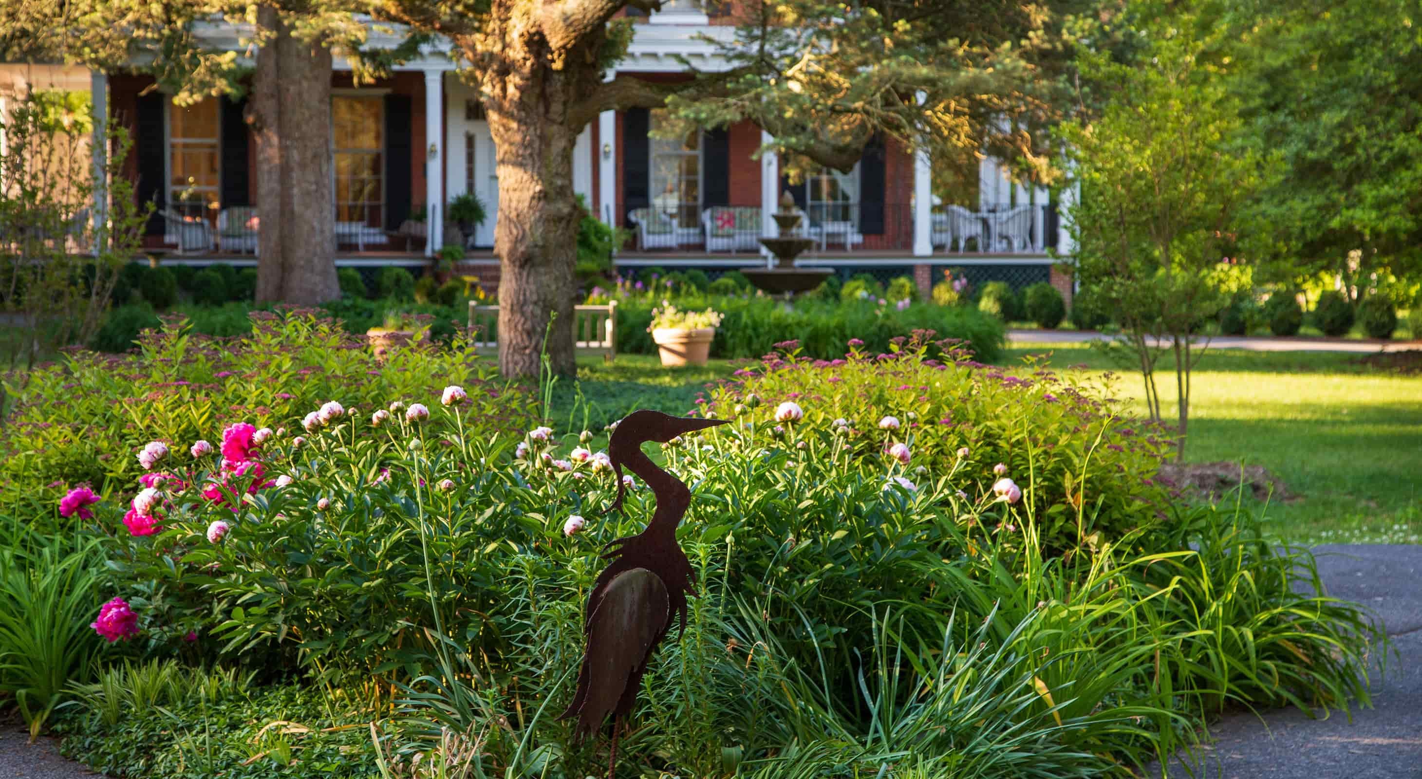 garden flowers and heron at our Eastern Shore B&B