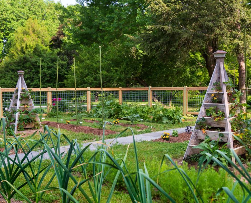 vegetable garden at our Eastern Shore Inn