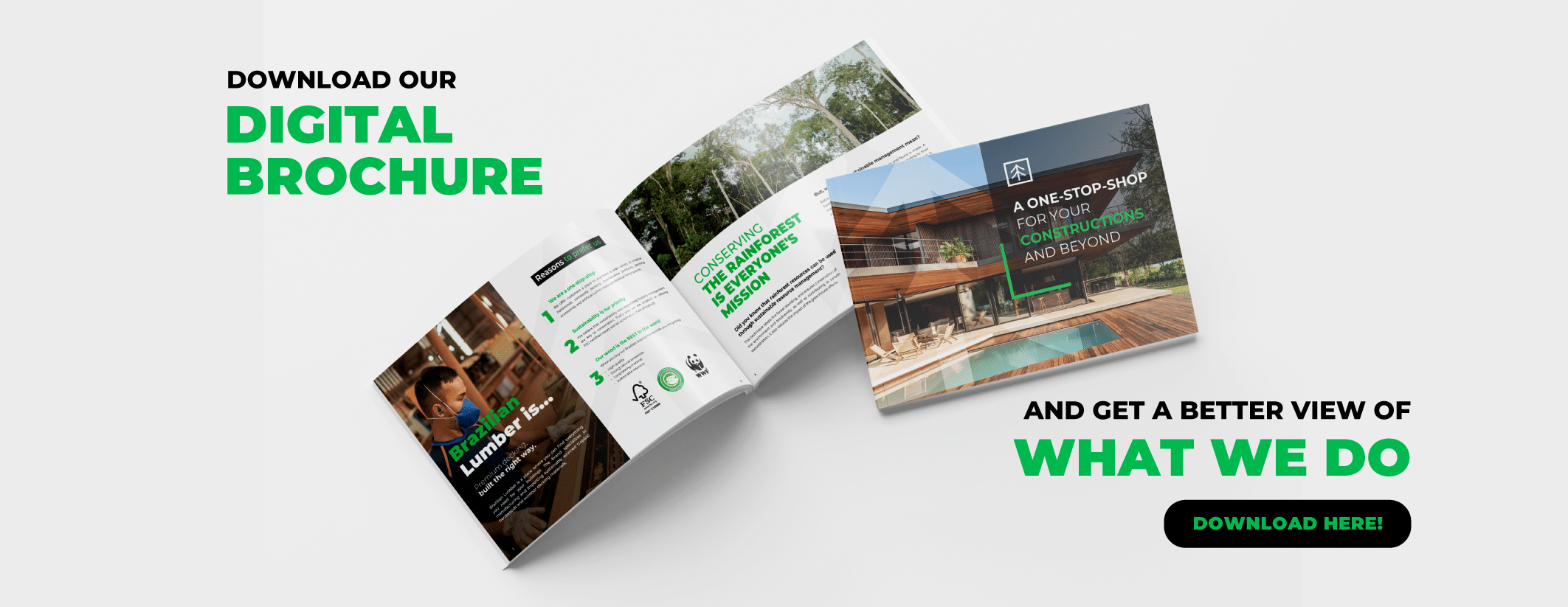 Brazilian Rediseño Home banner brochure