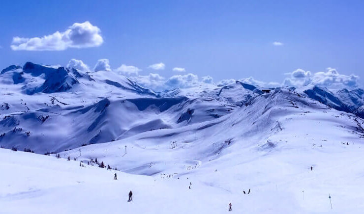 Overcoming fear: Learning how to ski