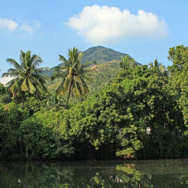 Tiruvannamalai Mount Arunachala reflection 2