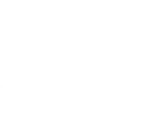 University of Sussex