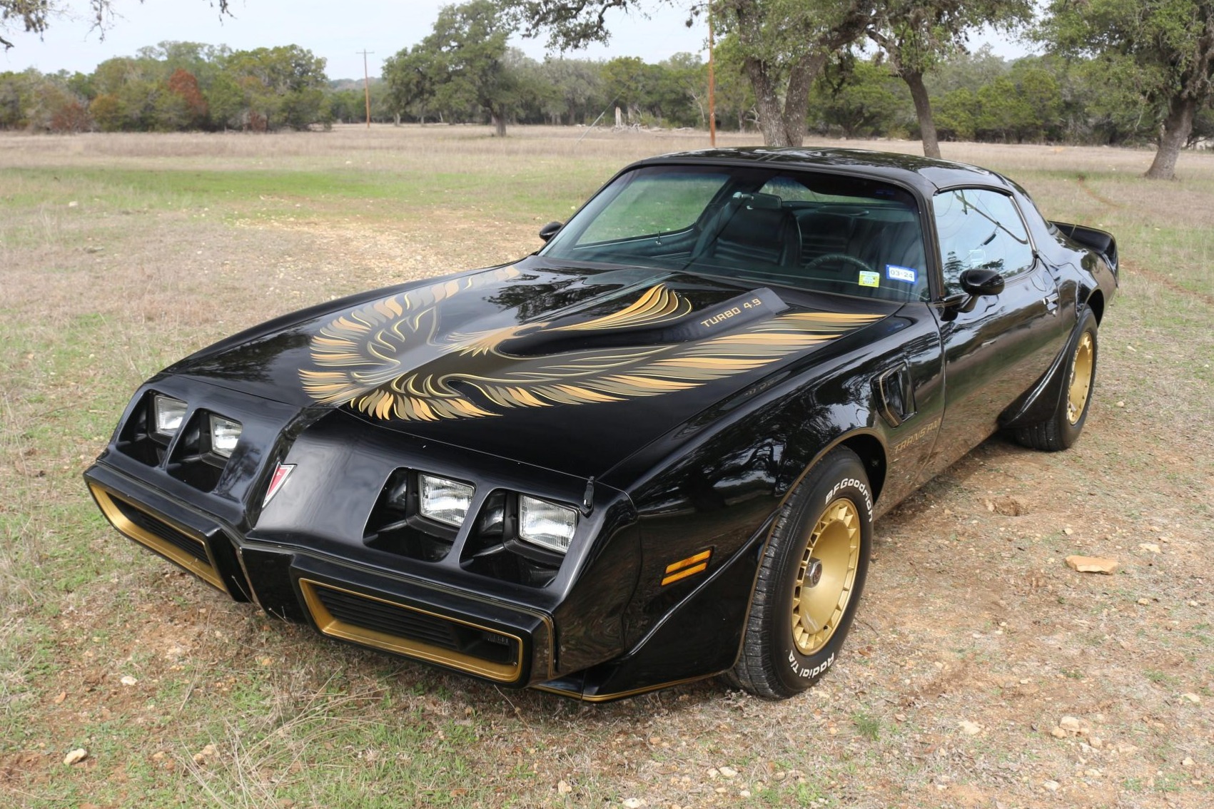 1980 Pontiac Firebird Turbo Trans Am