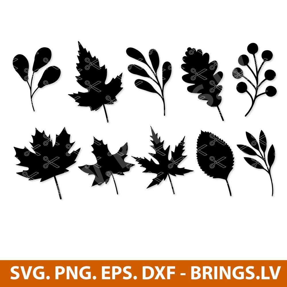 Fall Leaves SVG Fall SVG Bundle PNG EPS DXF Autumn Bundle