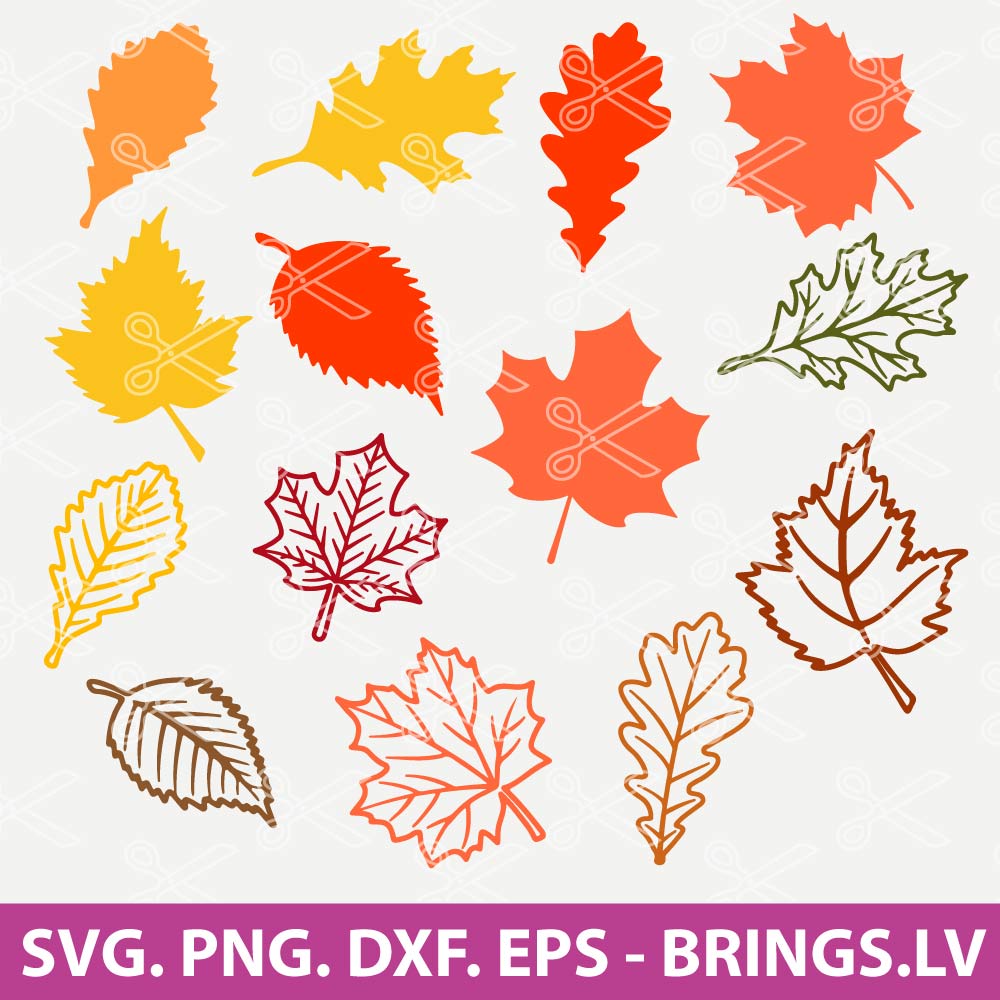 Fall Leaf SVG, Fall Leaf SVG Bundle, Fall Leaves SVG, Fall SVG, Fall ...