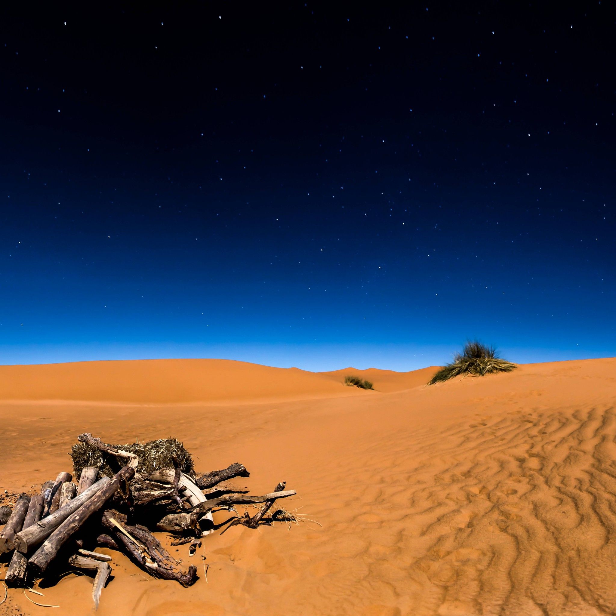 Sahara Desert In Scenery Night Wallpapers