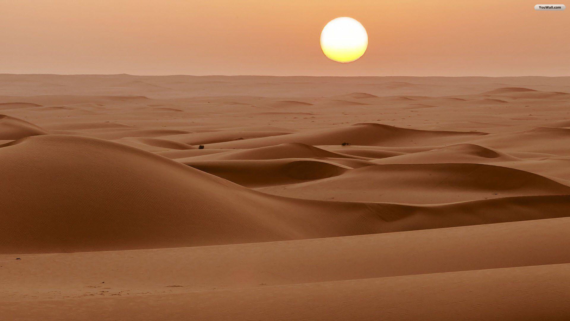 Sahara Desert In Scenery Night Wallpapers