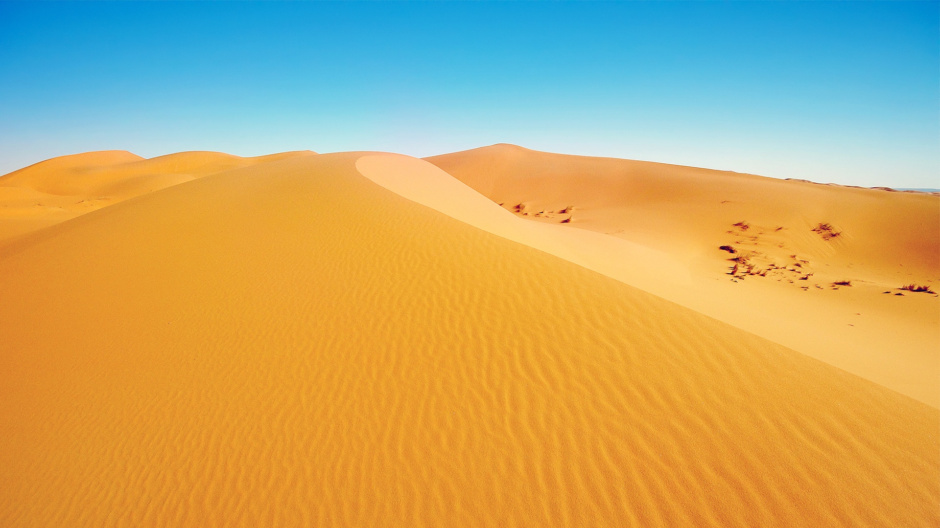 Sahara Desert In Scenery Night Wallpapers