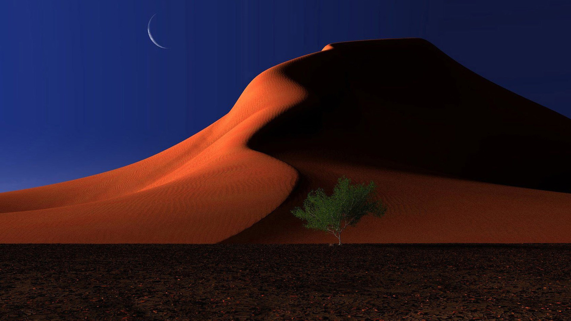 Sahara Desert In Scenery Night Wallpapers