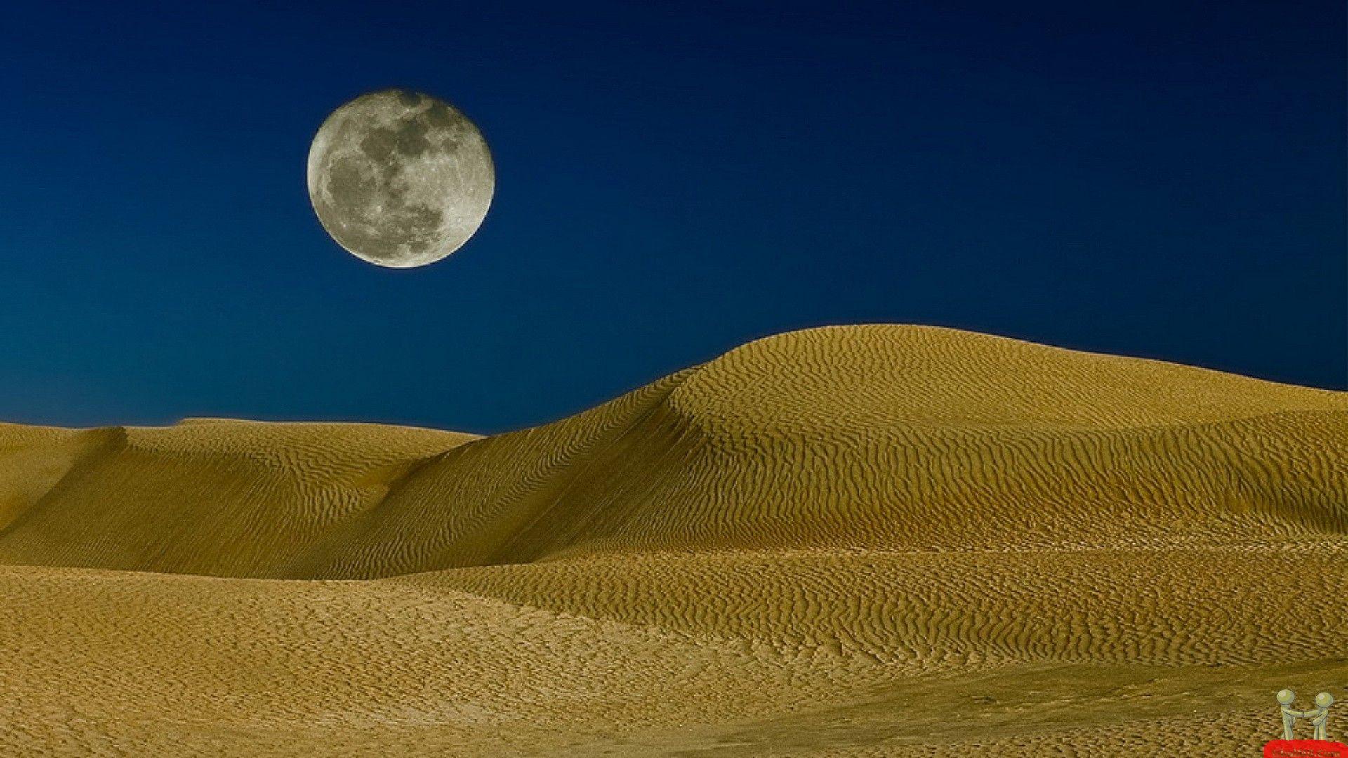 Sahara Desert In Scenery Night Wallpapers