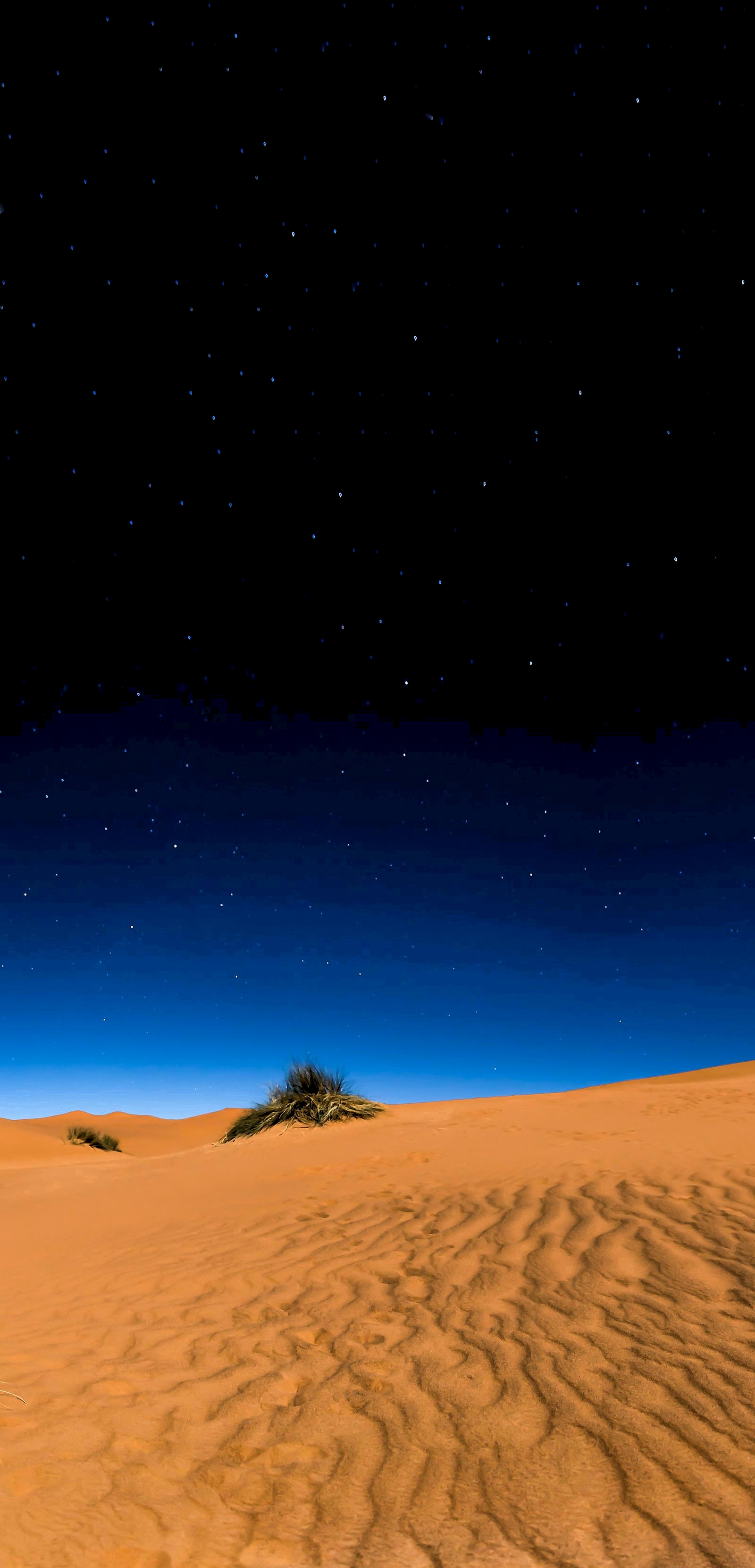 Sahara Desert In Scenery Night Wallpapers