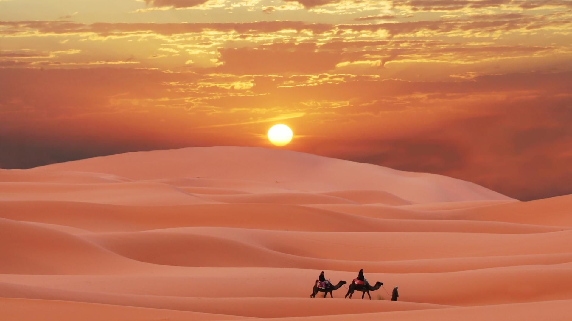 Sahara Desert In Scenery Night Wallpapers