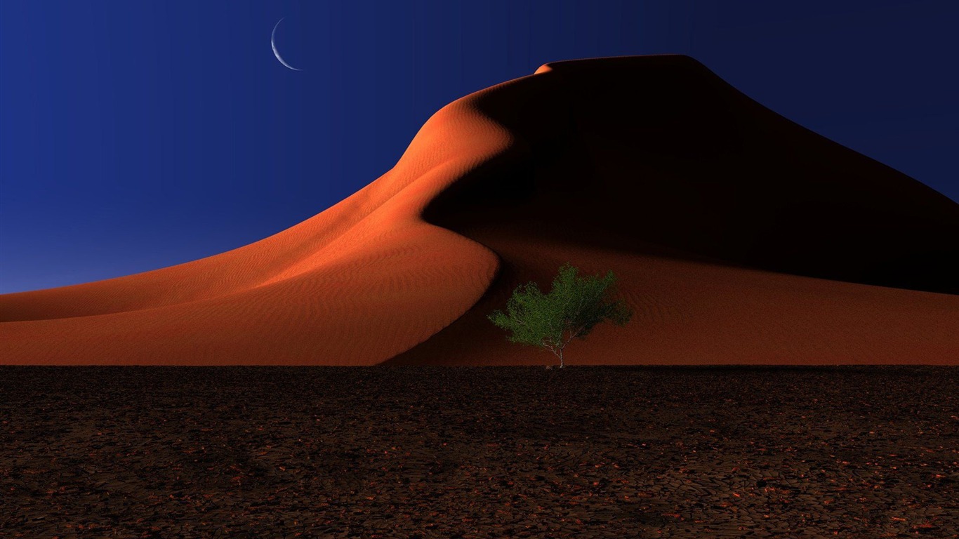 Sahara Desert In Scenery Night Wallpapers