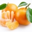 Exporters Company that export Mandarin