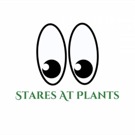 StaresAtPlants