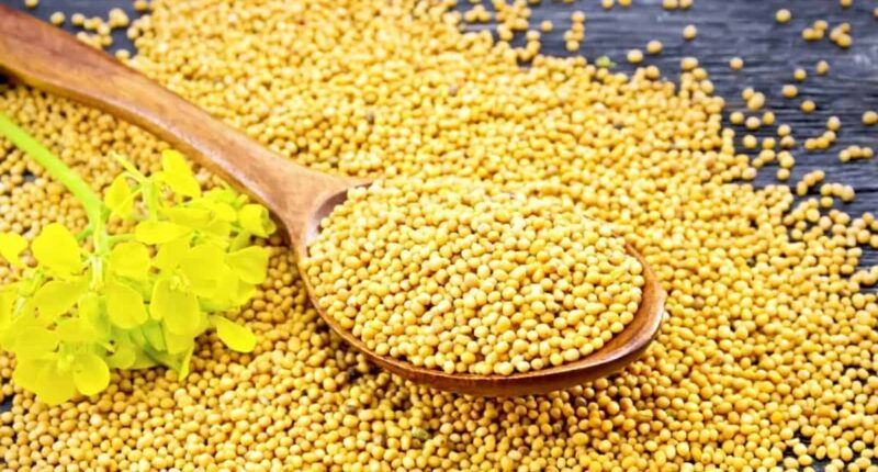 Healthy Benefits Of Mustard