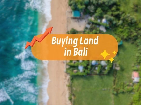 Buying Land in Bali graphic