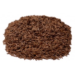 Caraway Seeds Whole