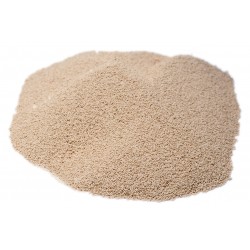 Active Dry Yeast