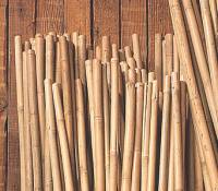 BIH Collection Bamboo Stakes 4' x 1/2" (250 Pack)