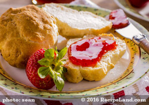 Ann's Angel Biscuits