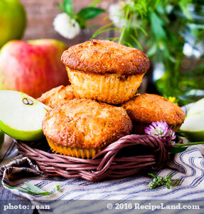 Quick Applesauce Muffins