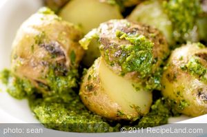 Grilled Potato and Parsley Pesto Salad